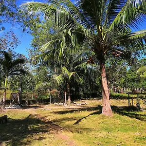 Walkerz Hostel